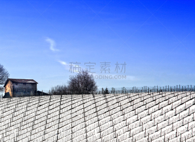 非都市风光,小别墅,带环,葡萄酒,天空,寒冷,有蔓植物,水平画幅,木制,雪