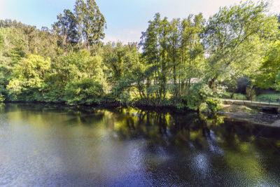 风景,地形,加利西亚,西班牙,森林,绿色,水,river ill,公园,水平画幅