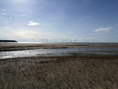 大海滩省立公园,温尼伯湖,户外,夏天,自然,风景,图像,全景,水平画幅,无人