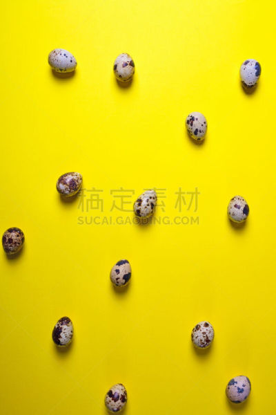 卵,生食,蛋,黄色,鹌鹑,平视角,鹌鹑蛋,垂直画幅,饮食,小的