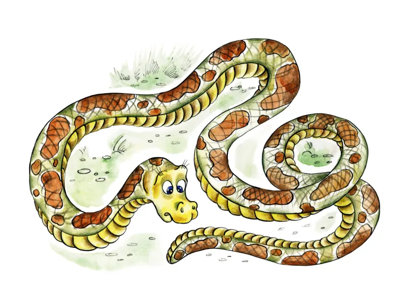 看 蟒蛇 尾巴 可爱的 水平画幅 绘画插图 巨大的 蝰蛇 性格图片素材下载 稿定素材