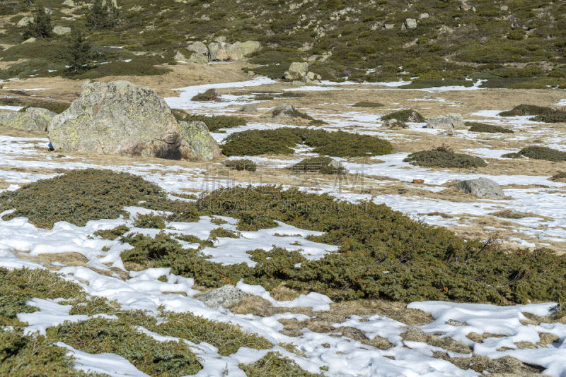 瓜达拉马山脉,国家公园,国内著名景点,环境,雪,刺柏属丛木,草,蓖麻,湖,泻湖