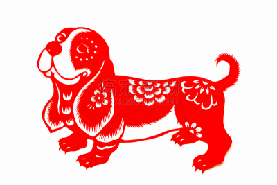 狗,动物,传统,春节,狗年,纸,切断