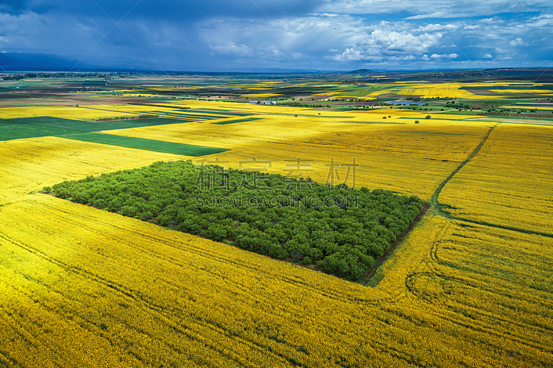 农业,航拍视角,田地,在上面,保加利亚,自然,美,草地,水平画幅,绿色