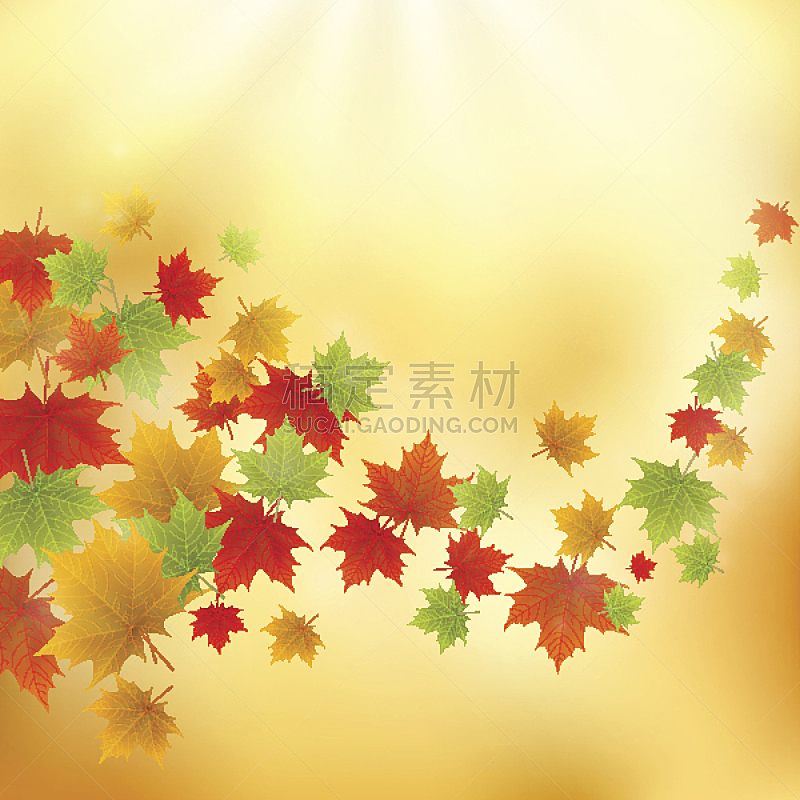 枫叶,秋天,抽象,背景,黄金,未来,形状,绘画插图,现代,阳光光束