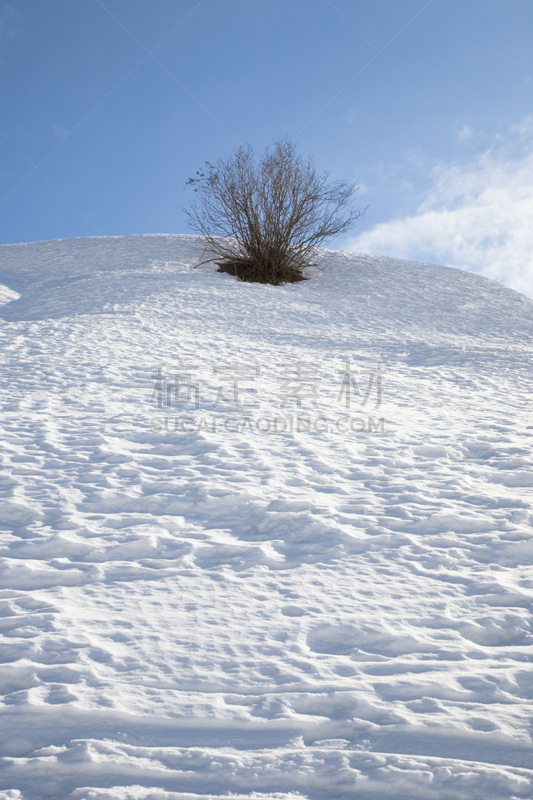 雪,垂直画幅,体育比赛,寒冷,无人,滑雪运动,滑雪坡,户外,滑雪缆车,斯泰尔维奥