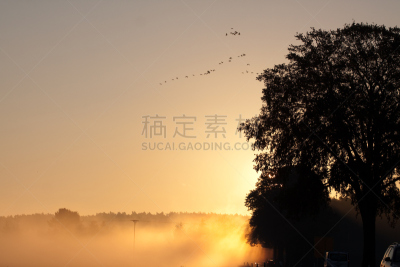 雾,金色,水平画幅,无人,交通,早晨,曙暮光,彩色图片,日出,剪影