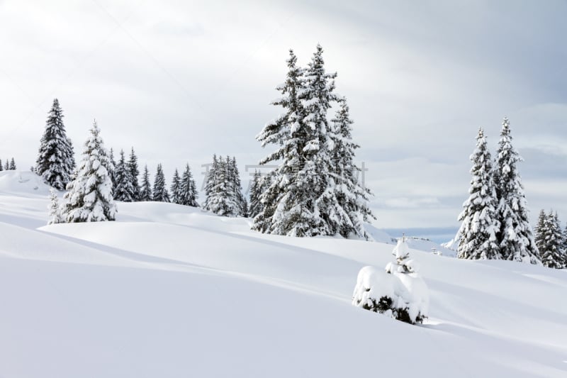 雪,地形,非滑雪场地的滑雪,滑雪坡,自由,白色,运动,特技,冬天,清新