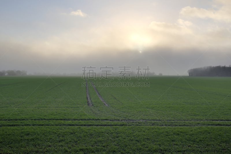 暴风雨,在上面,格赖夫斯瓦尔德,东德,2000到2009,天空,夜晚,泥土,明亮,白色