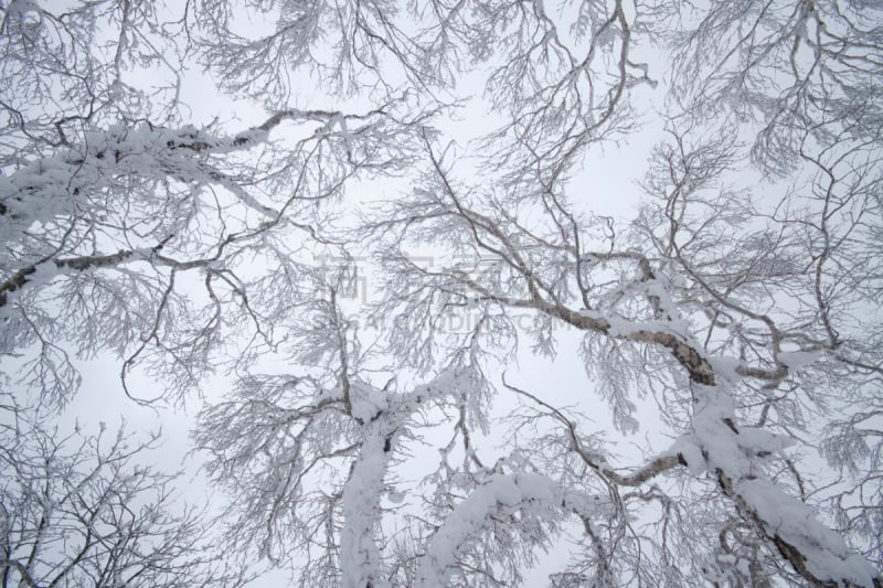 雪,山口,水平画幅,无人,日本,户外,北海道,白色,冬天,山