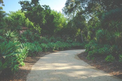 秘密,小路,曙暮光,黄昏,公路,背景,夏天,户外,天空,晴朗