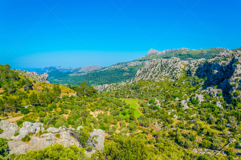 马略卡,西班牙,齿状山脊,sierra de tramuntana,面向陆地,自然界的状态,野生动物,海岸线,小路,地中海