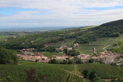 Mâcon wine-growing region