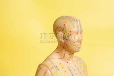 人,健康保健,针灸模型,勇敢面对,黄色背景,躯干,水平画幅,生物学