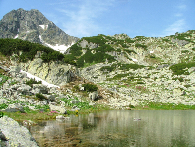 冰河,湖,印第安保留地,八月,罗马尼亚,自然,高处,水平画幅,岩石,摄影