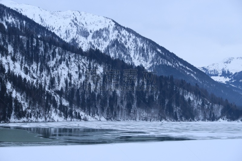 冬天,sylvenstein lake,寒冷,自由,上巴伐利亚,雪,湖,杉树,户外,天空