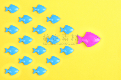 领导能力,与众不同,总司令,个性,鱼类,黄色背景,勇气,彩色背景,色彩鲜艳,群众
