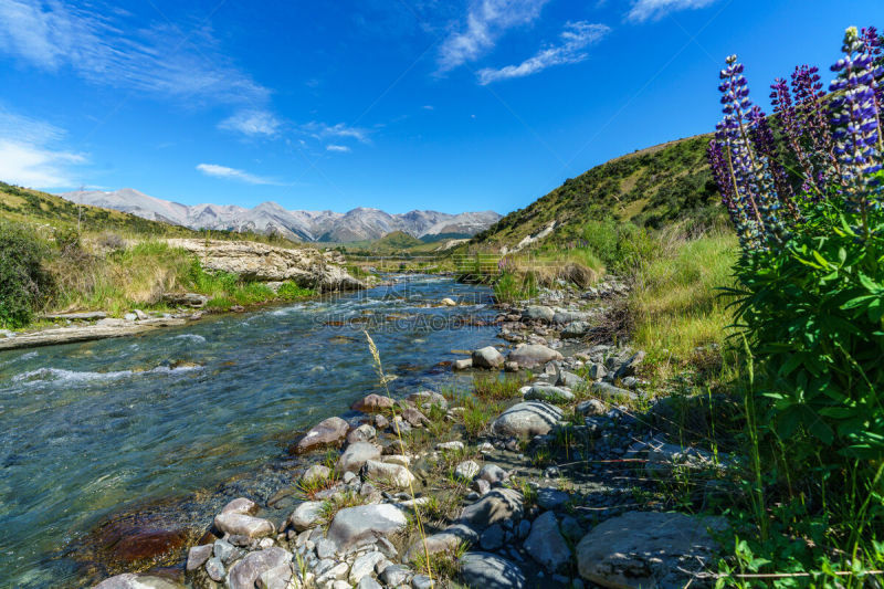 新西兰,arthurs pass,小溪,洞穴,风景,野生动物保护区,草,巨石,小路,羽扇豆