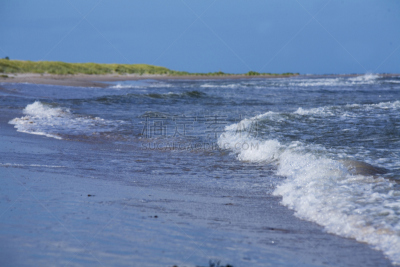 沙子,海滩,海洋,水,水平画幅,无人,湿,夏天,户外,草