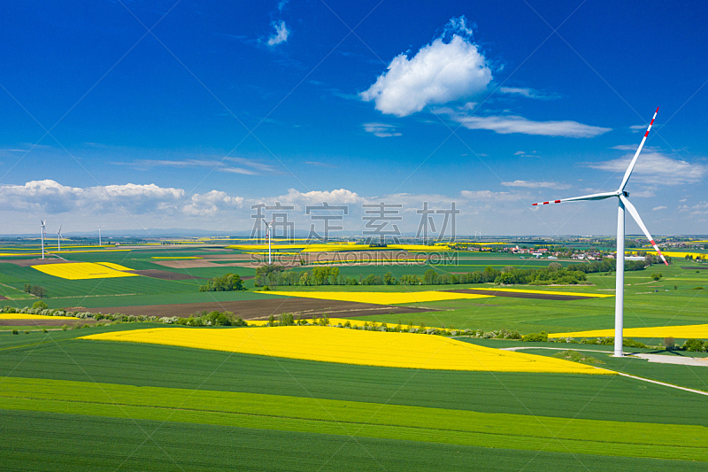 夏天,黄色,在上面,农业,航拍视角,油菜花,田地,风轮机,可再生能源,花