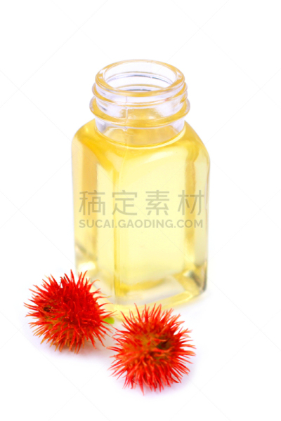 蓖麻油,白色背景,瓶子,蓖麻,垂直画幅,红色,无人,浆果,玻璃,摄影