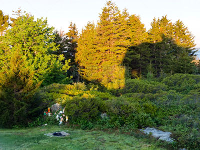 风景,岛,一只动物,灵感,休闲活动,水平画幅,无人,大西洋,夏天,缅因海湾