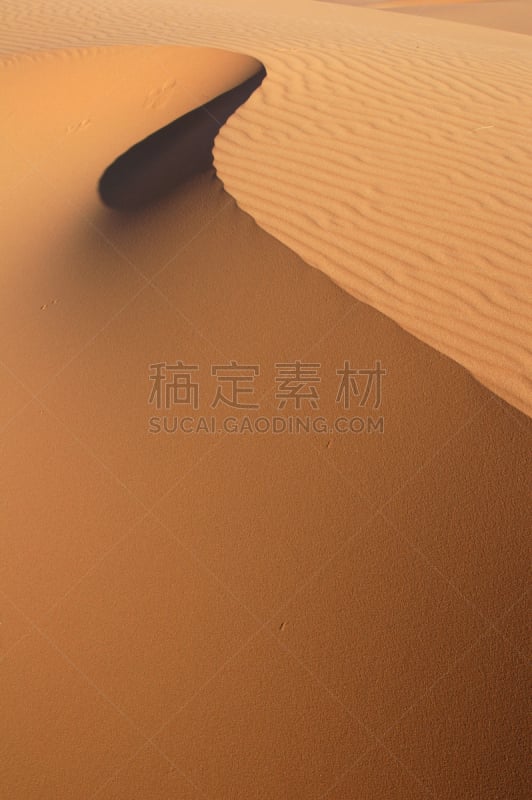 撒哈拉沙漠,巴禅沙丘,erg chebbi dunes,垂直画幅,留白,褐色,沙子,无人,夏天,户外