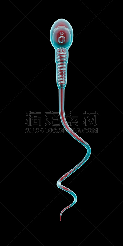 精子,概念,垂直画幅,细胞核,形状,父母,性主题,科学,生物学,黑色背景