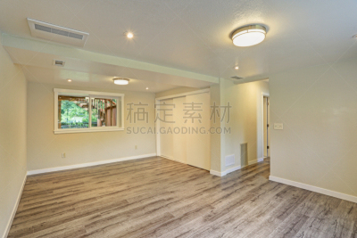 空的,米色,硬木地板,巨大的,住宅房间,新的,美国,水平画幅,无人,衣柜
