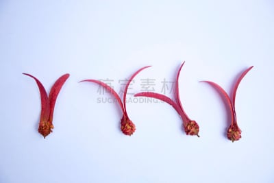 种子,药,泰国,公园,干花,动物皮,植物,热带树,水果,户外