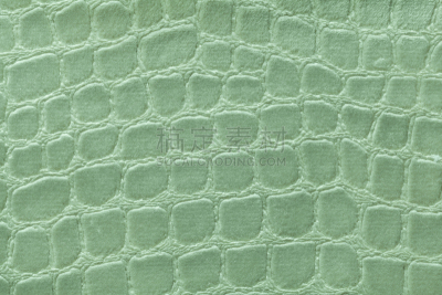 纺织品,特写,柔和,式样,绿色背景,dense fiber,毛圈布,羊群,鲜绿色,短吻鳄属