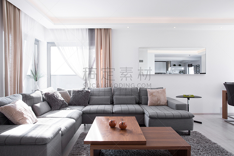 沙发,软垫,华丽的,角度,起居室,水平画幅,别墅,家具,居住区,现代