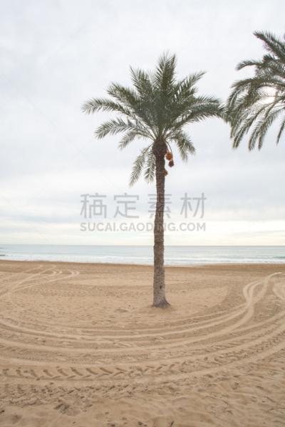 巴伦西亚省,阿利坎特,海滩,西班牙,无人迹,阿利坎特省,海港,海岸线,地中海,散步道