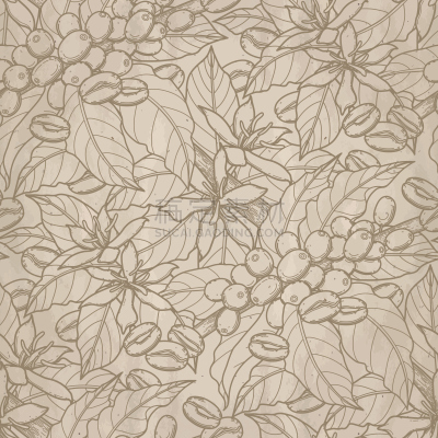 咖啡,式样,插画,烤咖啡豆,浓咖啡,谷类,有机食品,芳香的,纹理效果,背景