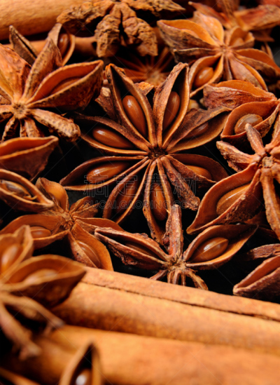 星茴芹,水果,种子,白桂皮,胎儿,垂直画幅,灵感,芳香的,无人