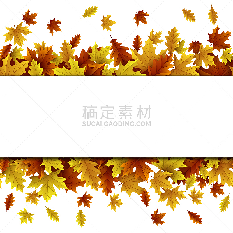 背景,枫树,秋天,橡树叶,十月,边框,环境,橙色,植物,纹理