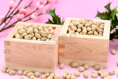 梅花,烤的,冬青树,枡,节分,水平画幅,无人,干的,大豆,魔法符咒