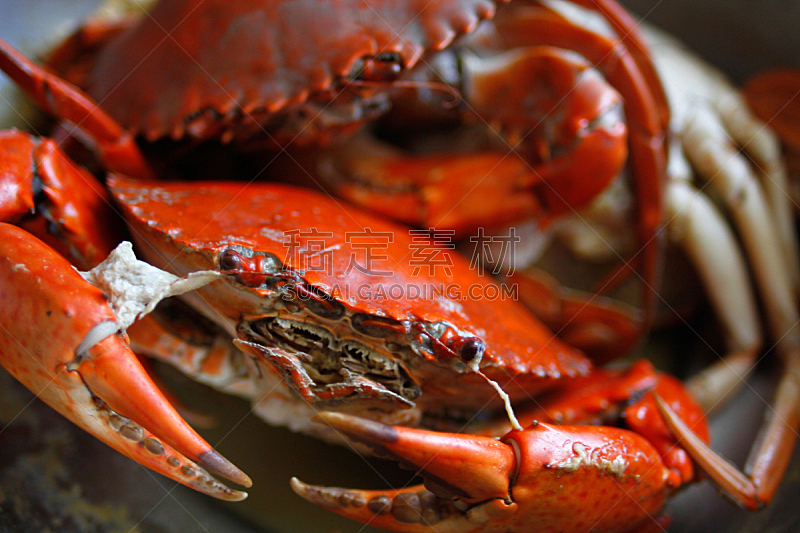 螃蟹,煮食,芳香的,水平画幅,膳食,海产,户外,蓝蟹,晚餐,甲壳动物