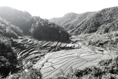 水稻梯田,自然,悬崖,水平画幅,山,无人,乡村,蓝色,菲律宾,巴拿威