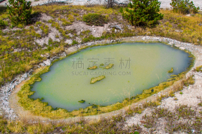 绿色,嗜热生物,类胡萝卜素,细菌垫,叶绿素,温泉,火山喷口,水平画幅,无人,户外