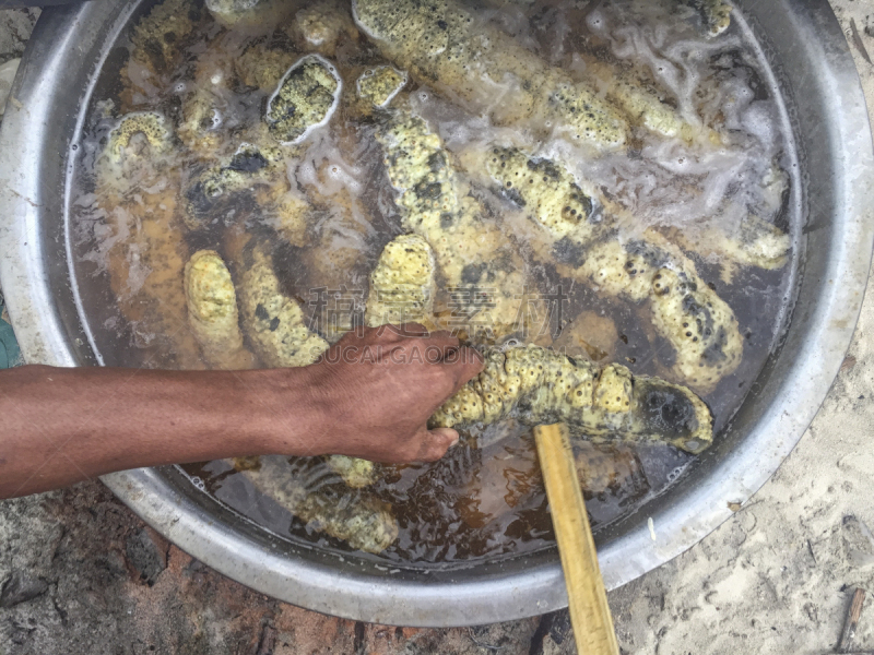 海参,煮食,深的,内骨骼,越南,人工饲养动物,环境,食品,坦桑尼亚,动物