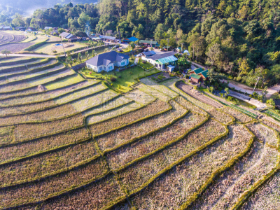 米,地形,房屋,梯田,风景,自然美,心脏移植术,移植手术,水稻梯田,缅甸