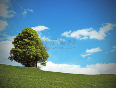夏天,草地,在之间,血凝结,干酪制造,大锅炉,凝乳酪,沸腾的,奶制品,水平画幅