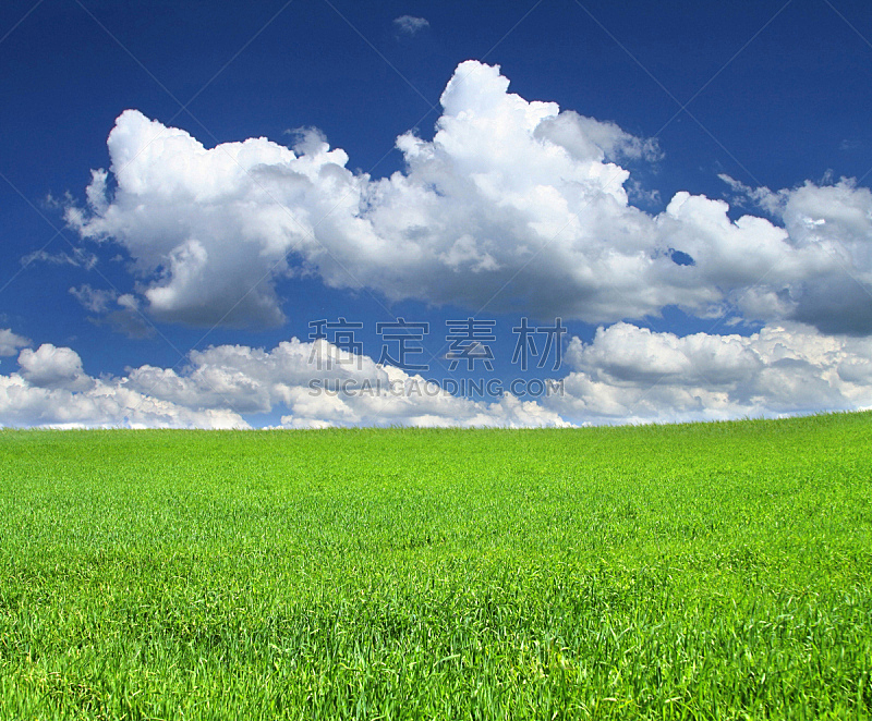 夏天,田地,自然,天空,草地,草原,水平画幅,绿色,地形,无人