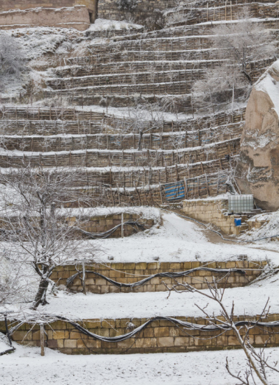 冬天,垂直画幅,田赛项目,农业建筑,雪,石材,运动场,植物学,雪花,世界遗产