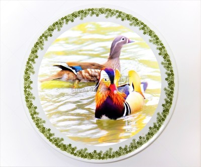 鸳鸯,昌庆宫,野生动物,雄性动物,池塘,调味品,动物,鸟类,韩国,湖