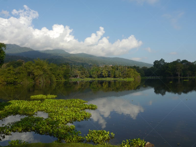 水塔,凤眼莲,水库,自然,旅游目的地,水平画幅,绿色,无人,户外,齿状山脊