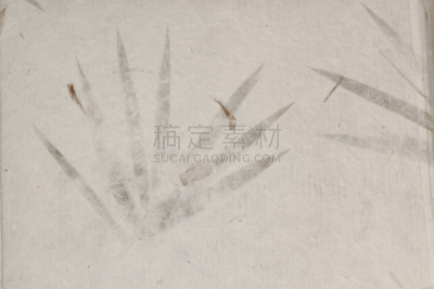 干的,叶子,手工纸,自然,水平画幅,仿旧磨损的效果,无人,平视角,材料,白色