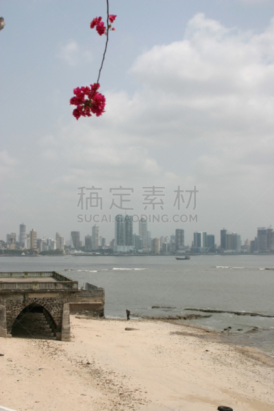 巴拿马城,垂直画幅,海滩,热带气候,市区,无人,户外,仅一朵花,摄影