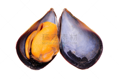 贻贝,海蚌,褐色,煮食,水平画幅,无人,软体动物,湿,生食,法式食品